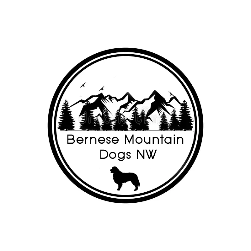 home-www-bernesemountaindogsnw